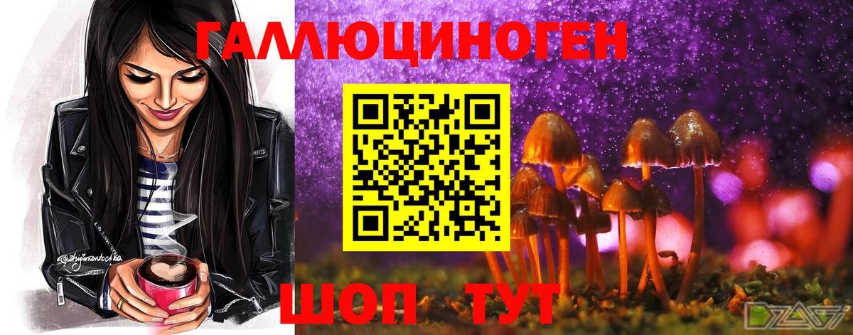 купить   Псилоцибиновые грибы MAGIC MUSHROOMS  Менделеевск  Вход с VPN  Псилоцибиновые грибы мухоморы 